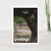 San Vicente Park Lliria, Valencia Karte (Vorderseite)