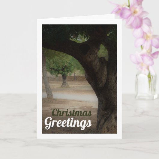 San Vicente Park Lliria, Valencia Karte (Orchidee)