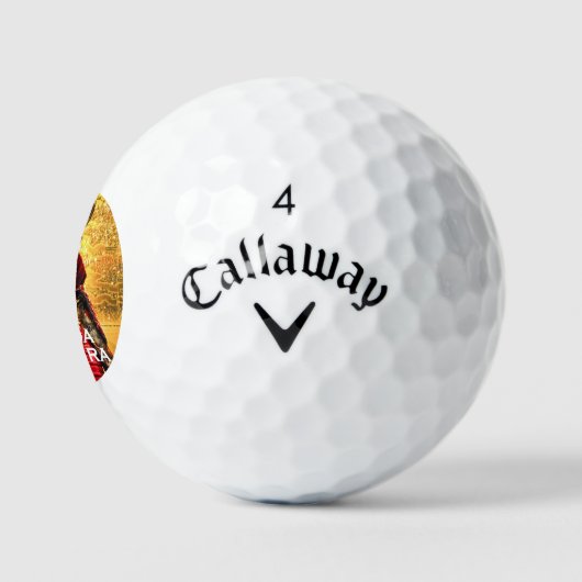 SANADA YUKIMURA GOLFBALL (Logo)