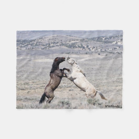 Sancho und Casper Fleecedecke (Vorderseite (Horizontal))