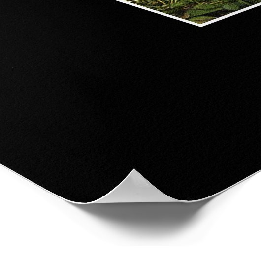 SANCTUARY Art Poster (Ecke)