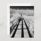 Sanctuary Sanctuary, Florida, Postkarte (Vorne/Hinten)