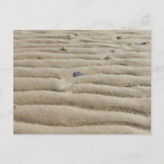 Sand an der Nordsee Postkarte (Vorderseite)