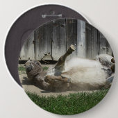 Sand Bathing Donkey Button (Vorne & Hinten)