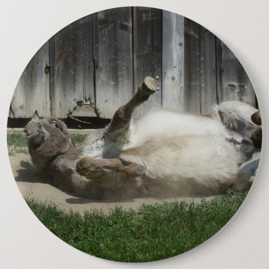 Sand Bathing Donkey Button (Vorderseite)