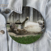 Sand Bathing Donkey Button (Beispiel)