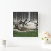 Sand Bathing Donkey Quadratische Wanduhr (Zuhause)