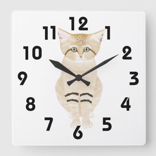 Sand Cat Wall Clock Quadratische Wanduhr (Vorderseite)