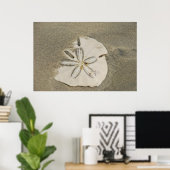 Sand Dollar am Beach Poster (Heimbüro)