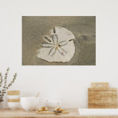 Sand Dollar am Beach Poster (Küche)
