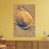 Sand Dollar am Strand bekannt | Hilton Head Island Leinwanddruck (Insitu (Wohnzimmer))