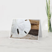 Sand Dollar auf Driftwood (Vorderseite)