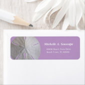 Sand Dollar auf Lila (Insitu)