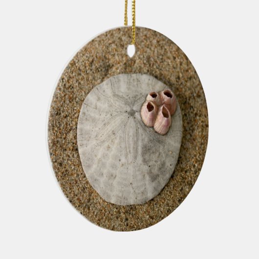 Sand-Dollar auf Strand Keramik Ornament (Rechts)