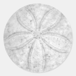 Sand-Dollar-Aufkleber Runder Aufkleber