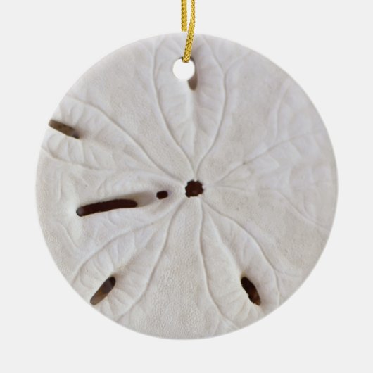 Sand Dollar Beach Coastal White Round Trendy 2020 Keramik Ornament (Vorne)