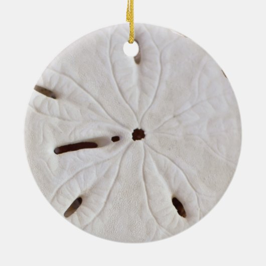 Sand Dollar Beach Coastal White Round Trendy 2020 Keramik Ornament (Hinten)