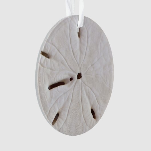 Sand Dollar Beach Coastal White Round Trendy 2020 Ornament (Vorderseite)