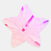 Sand Dollar Beach Coasty Trendy Niedlich Pink Girl Stern-Aufkleber (Vorderseite)