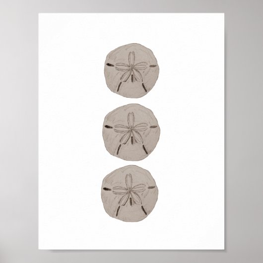 Sand Dollar Beach Deco Aquarellbilder Poster (Vorne)