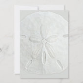 Sand Dollar Beach Geburtstagsparty Einladung (Rückseite)