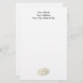 Sand Dollar Briefpapier (Vorne/Hinten)