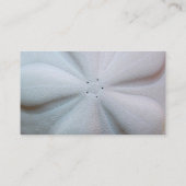 Sand Dollar Business Card Visitenkarte (Rückseite)