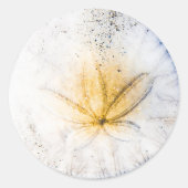 Sand Dollar Craze Runder Aufkleber (Vorderseite)