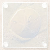Sand-Dollar deckte auf Strand | Hilton Head Island Glasuntersetzer (Rückseite)