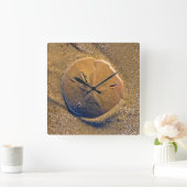 Sand-Dollar deckte auf Strand | Hilton Head Island Quadratische Wanduhr (Zuhause)