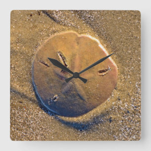 Sand-Dollar deckte auf Strand Hilton Head Island Quadratische Wanduhr