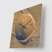 Sand-Dollar deckte auf Strand | Hilton Head Island Quadratische Wanduhr (Winkel)