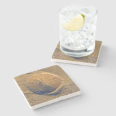 Sand-Dollar deckte auf Strand | Hilton Head Island Steinuntersetzer (Seitenansicht)