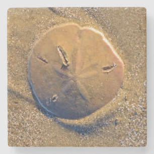 Sand-Dollar deckte auf Strand Hilton Head Island Steinuntersetzer