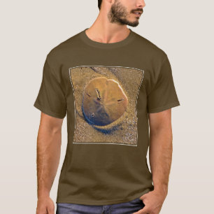 Sand-Dollar deckte auf Strand Hilton Head Island T-Shirt