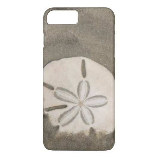 Sand-Dollar (Echinarachnius parma) Case-Mate iPhone Hülle (Rückseite)