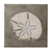 Sand-Dollar (Echinarachnius parma) Fliese (Vorderseite)
