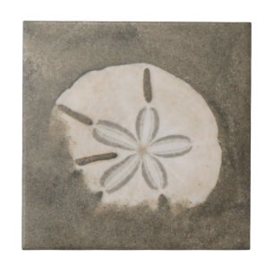Sand-Dollar (Echinarachnius parma) Fliese