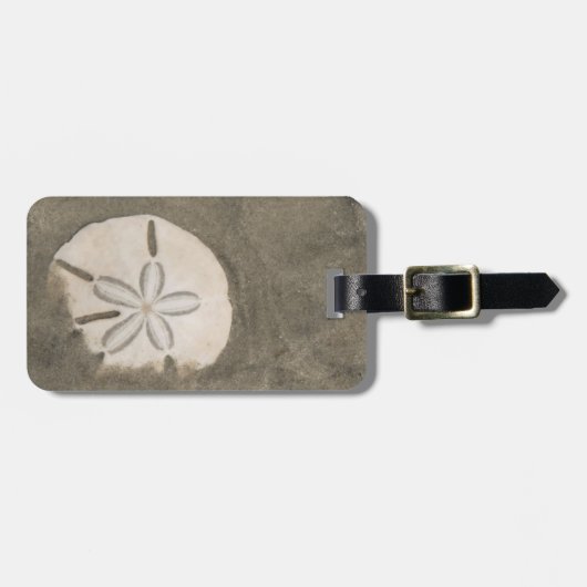 Sand-Dollar (Echinarachnius parma) Gepäckanhänger (Vorderseite horizontal)
