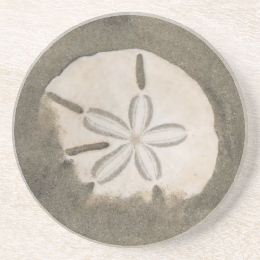 Sand-Dollar (Echinarachnius parma) Getränkeuntersetzer (Vorne)