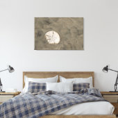 Sand Dollar (Echinarachnius parma) Leinwanddruck (Insitu (Schlafzimmer))