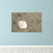Sand Dollar (Echinarachnius parma) Leinwanddruck (Insitu (Holzboden))