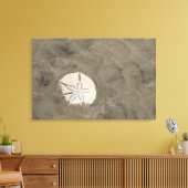 Sand Dollar (Echinarachnius parma) Leinwanddruck (Insitu (Wohnzimmer))