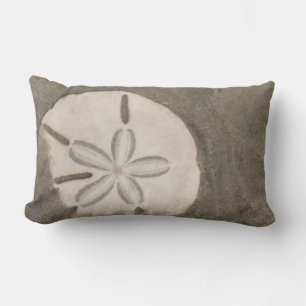 Sand-Dollar (Echinarachnius parma) Lendenkissen