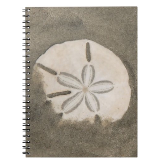 Sand-Dollar (Echinarachnius parma) Notizblock (Vorderseite)