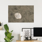 Sand Dollar (Echinarachnius parma) Poster (Heimbüro)