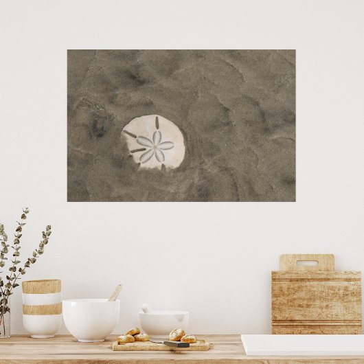 Sand Dollar (Echinarachnius parma) Poster (Küche)