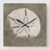 Sand dollar (Echinarachnius parma) Quadratische Wanduhr (Vorderseite)