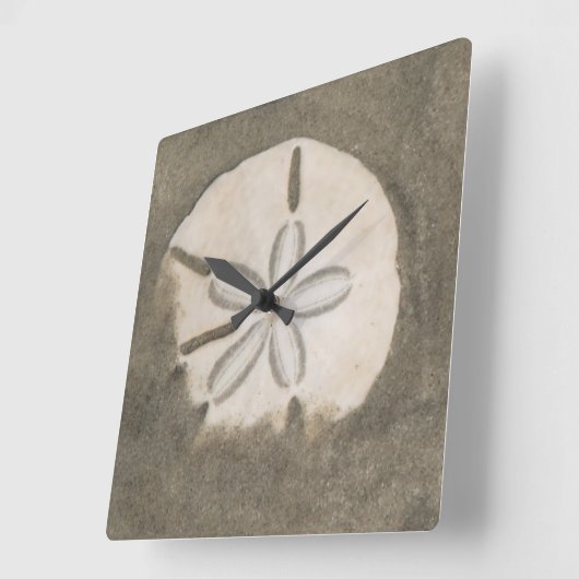 Sand dollar (Echinarachnius parma) Quadratische Wanduhr (Winkel)