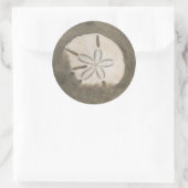 Sand Dollar (Echinarachnius parma) Runder Aufkleber (Tasche)